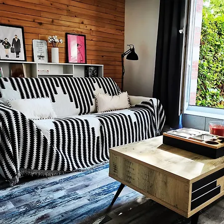 דירה Proche De Centre, Cinema Renove Avec Parking Gratuit נאנסי