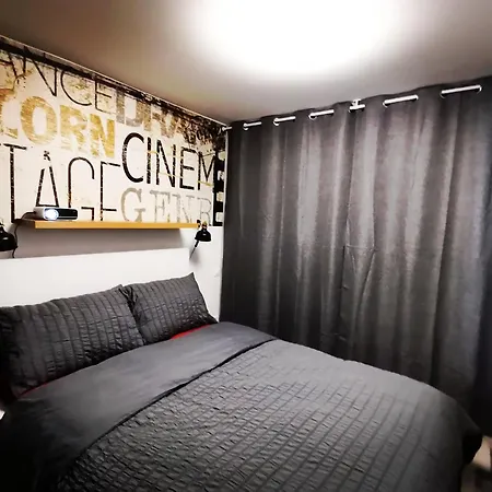 Proche De Centre, Cinema Renove Avec Parking Gratuit נאנסי