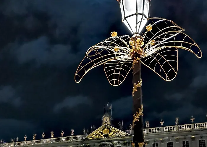 Proche De Centre, Cinema Renove Avec Parking Gratuit נאנסי