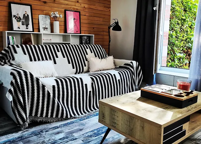 公寓 Proche De Centre, Cinema Renove Avec Parking Gratuit 南锡