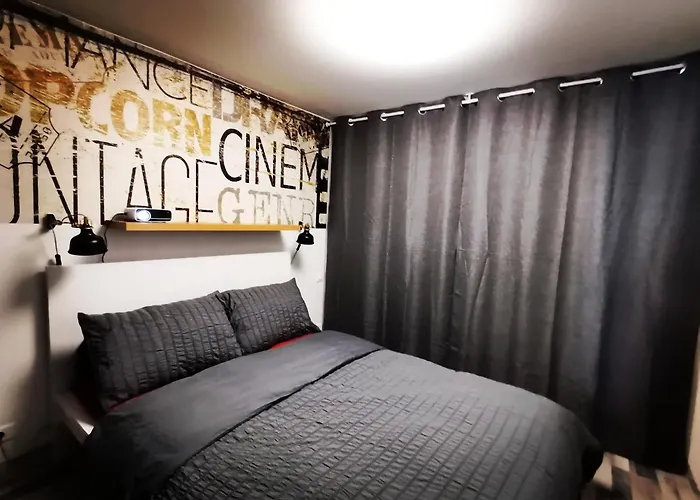 Proche De Centre, Cinema Renove Avec Parking Gratuit 南锡